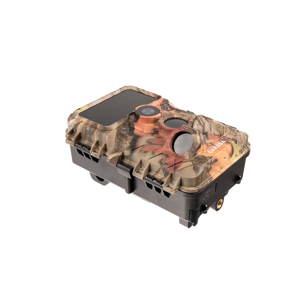 Caruba Wildlife fotocamera Moose 4K