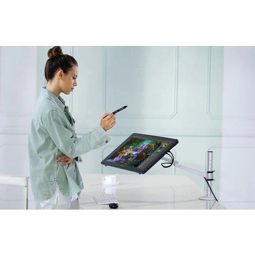 Huion Kamvas RDS-220