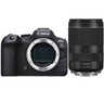 Canon EOS R6 mark II + RF 24-240mm f/4-6.3 IS USM