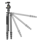 Vanguard VESTA GO 234CB