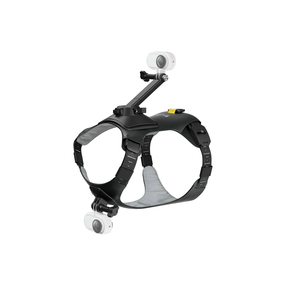 Imbracatura Insta360 per animali domestici taglia S