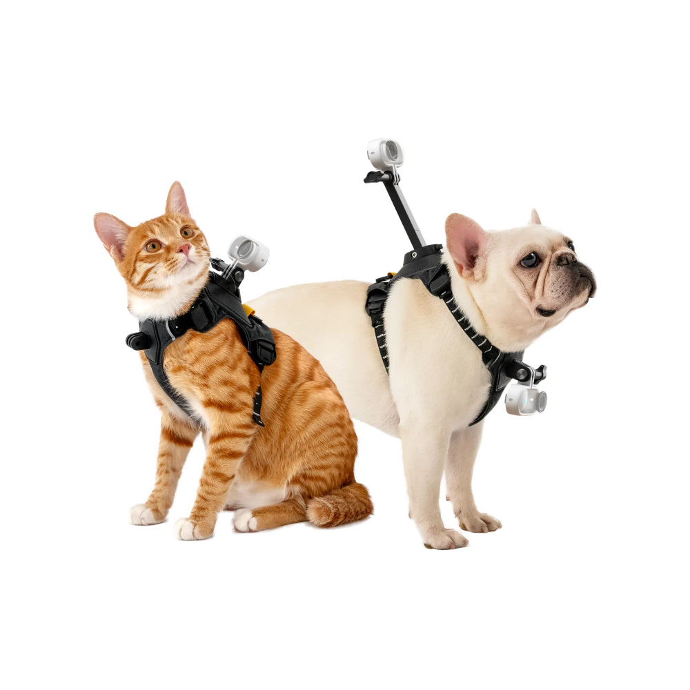 Imbracatura Insta360 per animali domestici taglia S