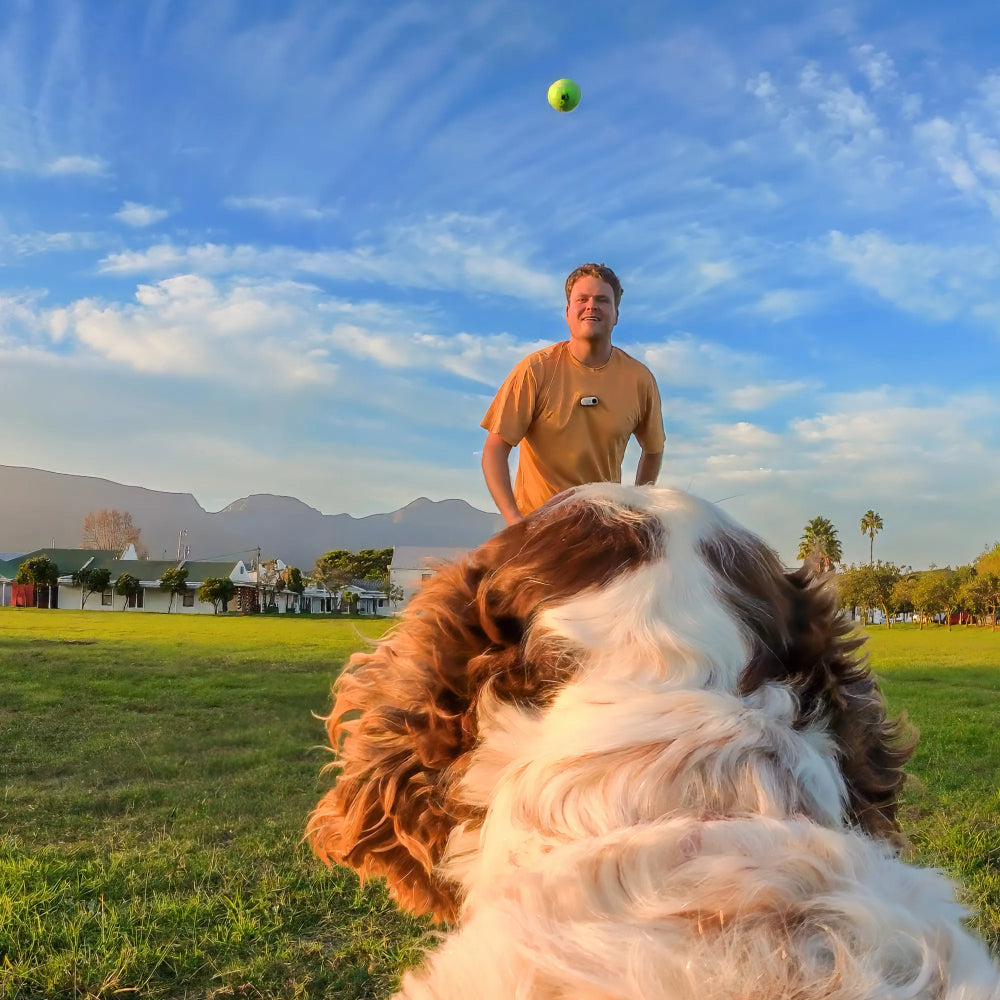 Imbracatura Insta360 per animali domestici taglia S