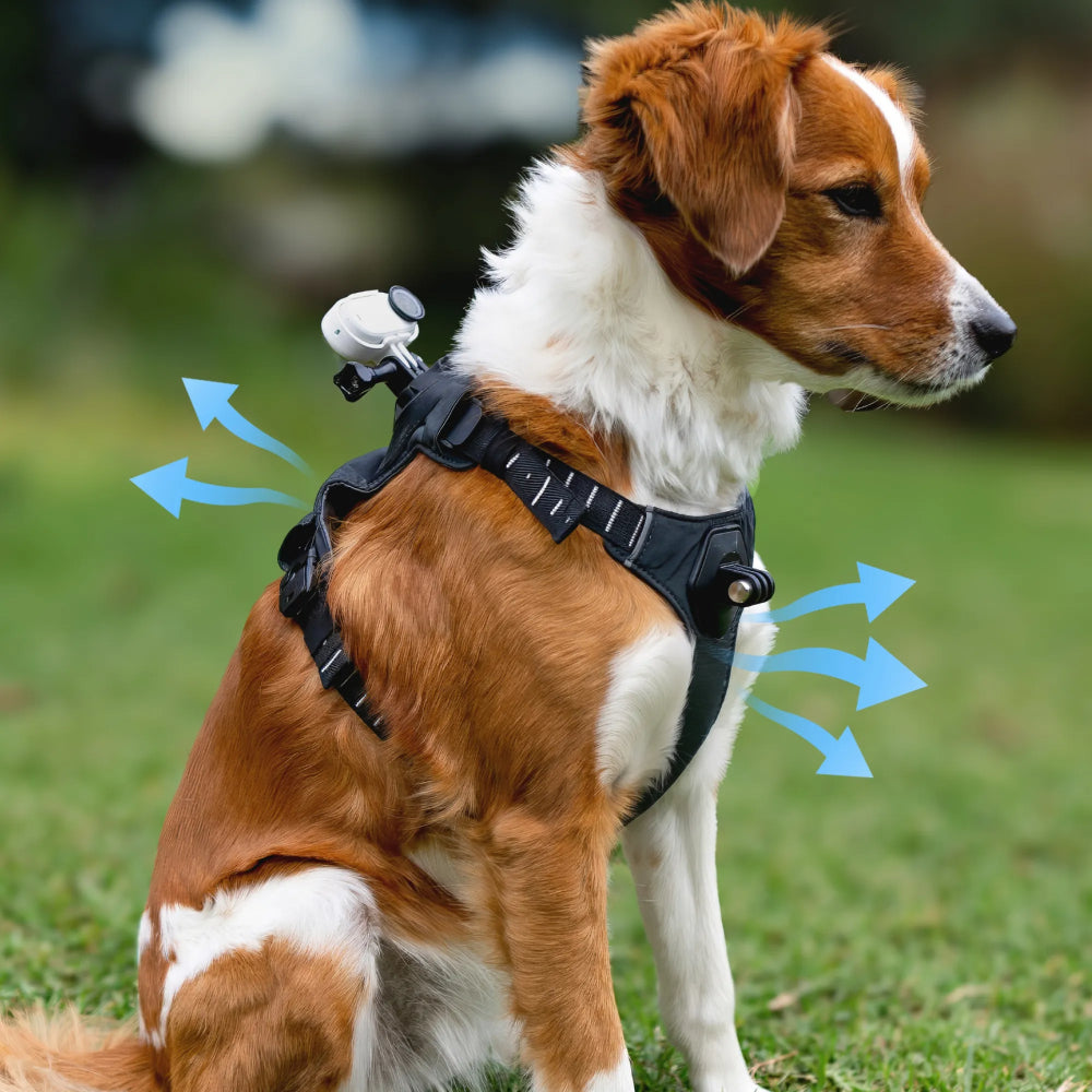 Imbracatura Insta360 per animali domestici taglia S