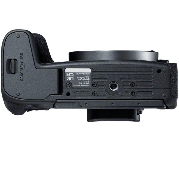 Canon EOS R8 + RF 24mm f/1.8 Macro IS STM