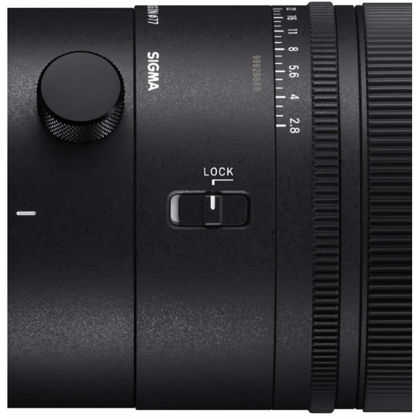 Panasonic LUMIX DC-S5 II + SIGMA 70-200mm f/2.8 DG DN OS Sports L-Mount