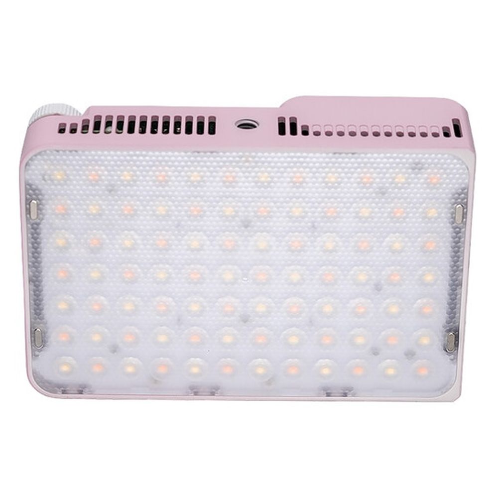 amaran Ace 25x pink