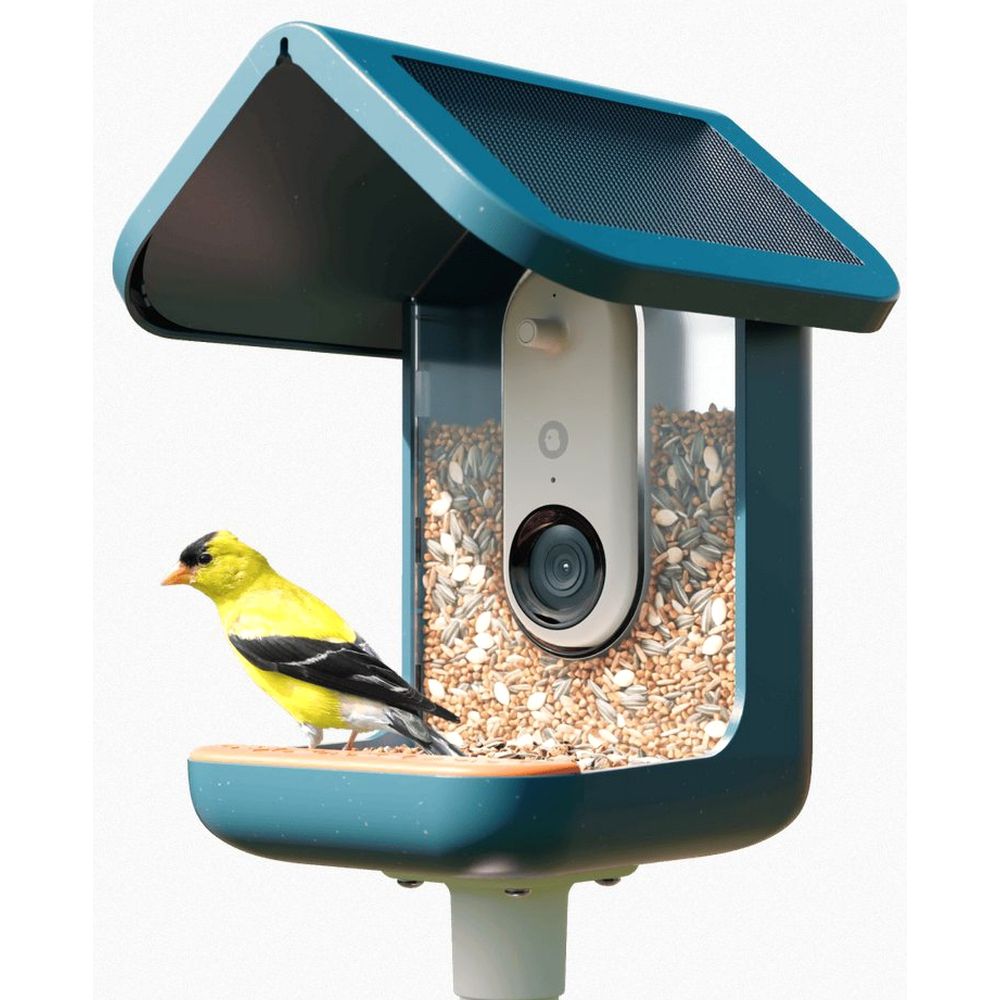 Bird Buddy 2.0 mangiatoia intelligente per uccelli con pannello solare