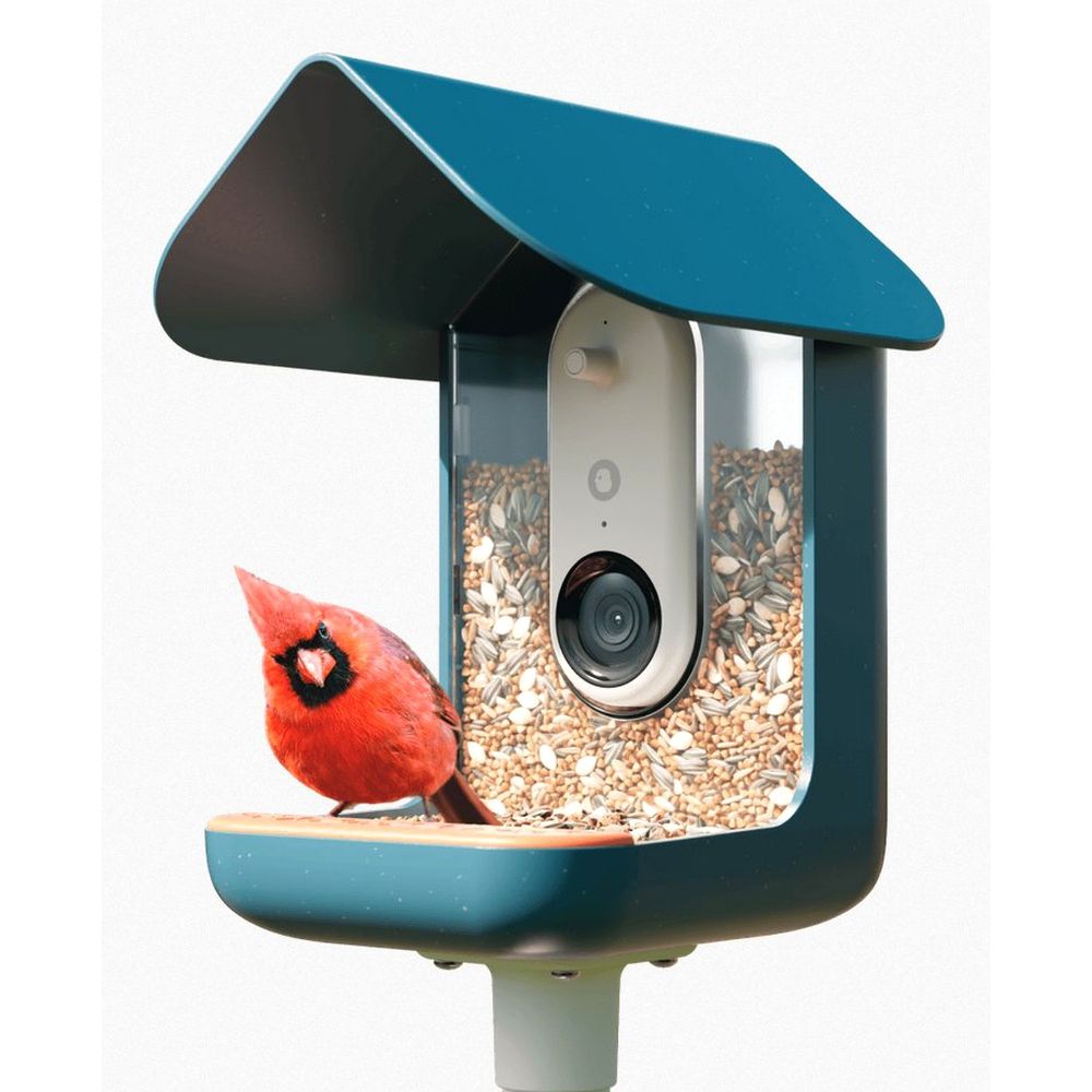 Bird Buddy 2.0 mangiatoia intelligente per uccelli con pannello solare