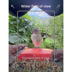 Bird Buddy 2.0 mangiatoia intelligente per uccelli con pannello solare