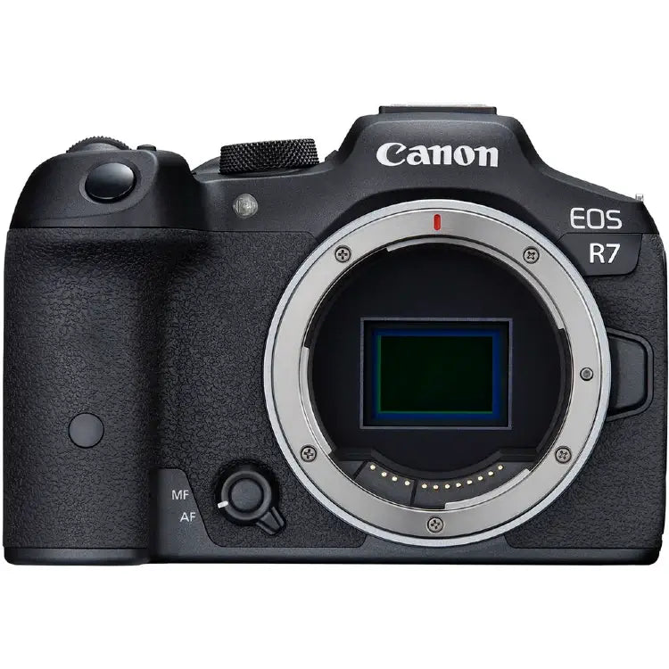 Canon EOS R7 + RF 200-800mm f/6.3-9 IS USM