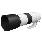 Canon EOS R7 + RF 200-800mm f/6.3-9 IS USM