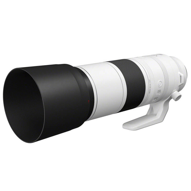 Canon EOS R7 + RF 200-800mm f/6.3-9 IS USM