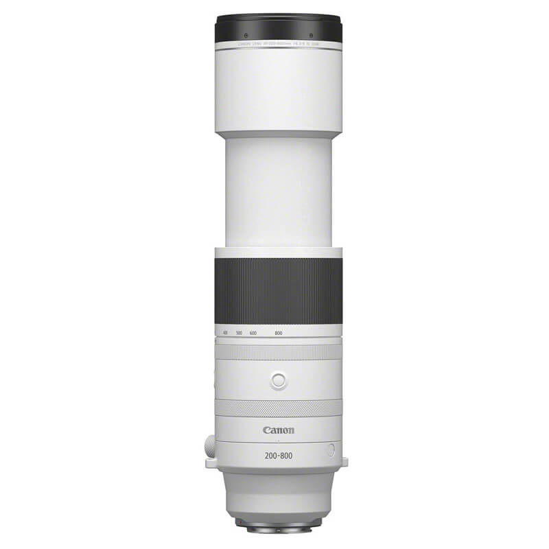 Canon EOS R7 + RF 200-800mm f/6.3-9 IS USM