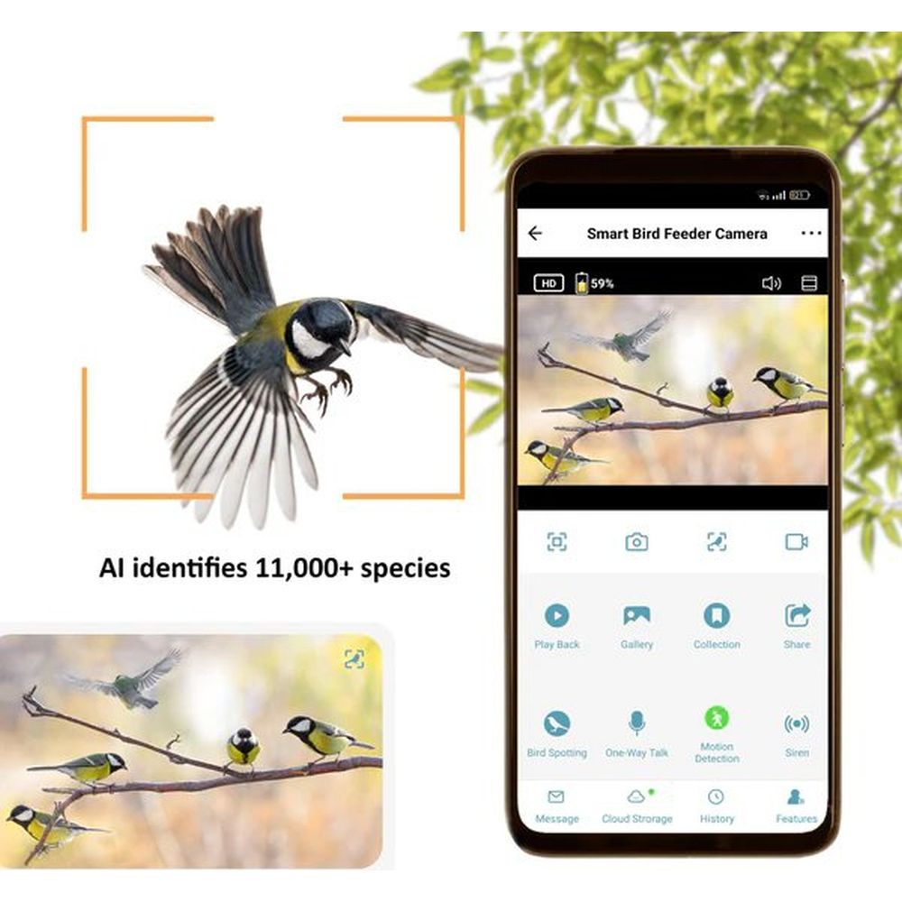 Videocamera mimetica per animali selvatici EZ-BirdFeed