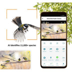 Videocamera mimetica per animali selvatici EZ-BirdFeed