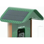 Videocamera mimetica per animali selvatici EZ-BirdFeed