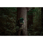 Videocamera mimetica per animali selvatici EZ-BirdFeed
