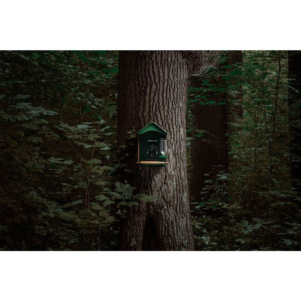 Videocamera mimetica per animali selvatici EZ-BirdFeed