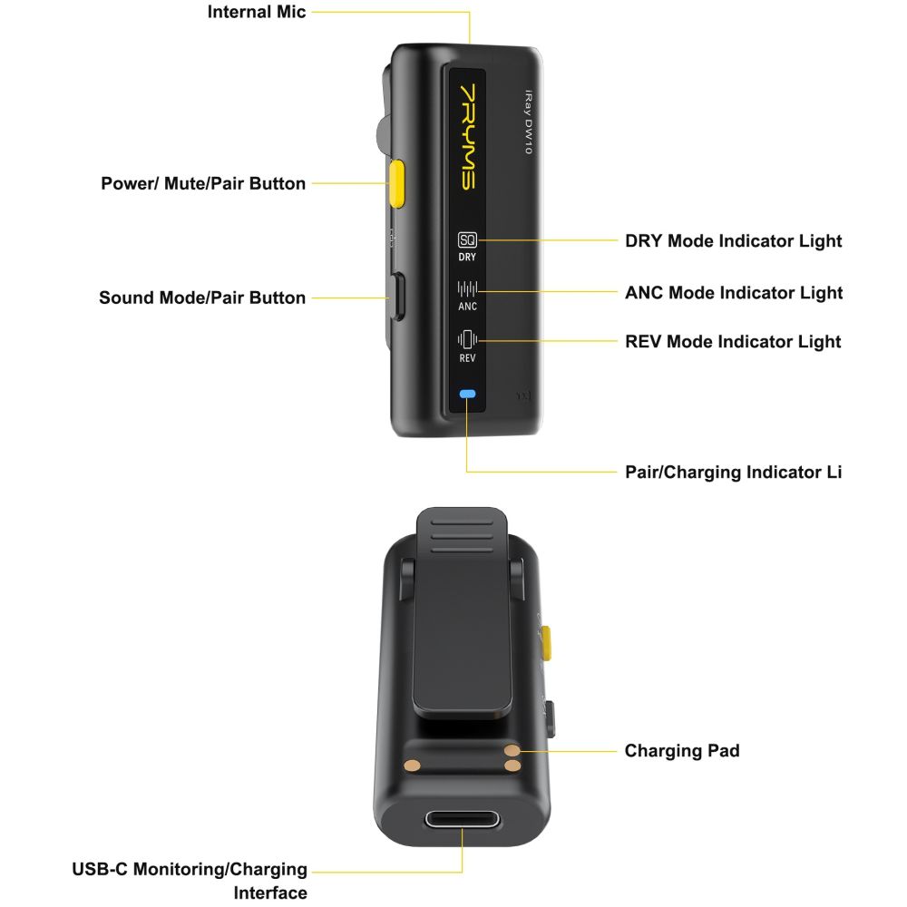 7RYMS Microfono wireless iRay DW10 con 2 trasmettitori + custodia, nero