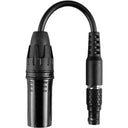 Hollyland HL-CB02: 8-Pin LEMO to 4-Pin XLR Adapter Cable