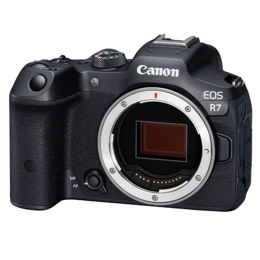 Canon EOS R7 + Sigma 18-50mm f/2.8 DC DN Canon RF Mount + Canon DM-E1 Stereo Microphone