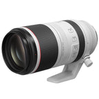 Canon RF 100-500mm f/4.5-7.1L IS USM + Extender RF 2.0x