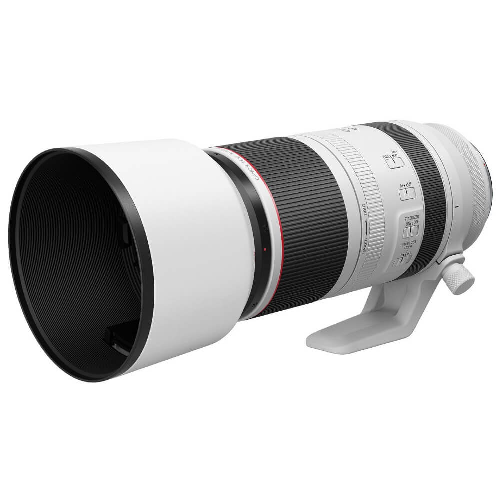 Canon RF 100-500mm f/4.5-7.1L IS USM + Extender RF 2.0x
