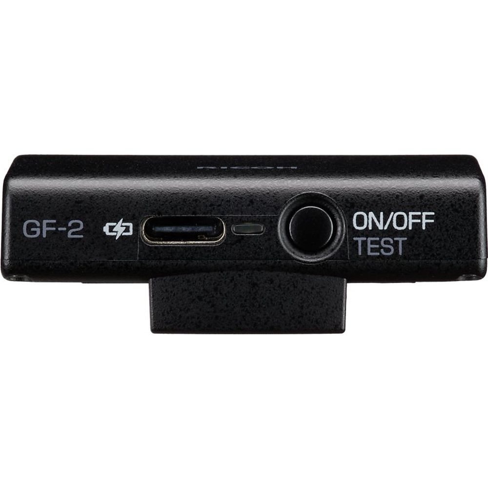 Ricoh GF-2 WW