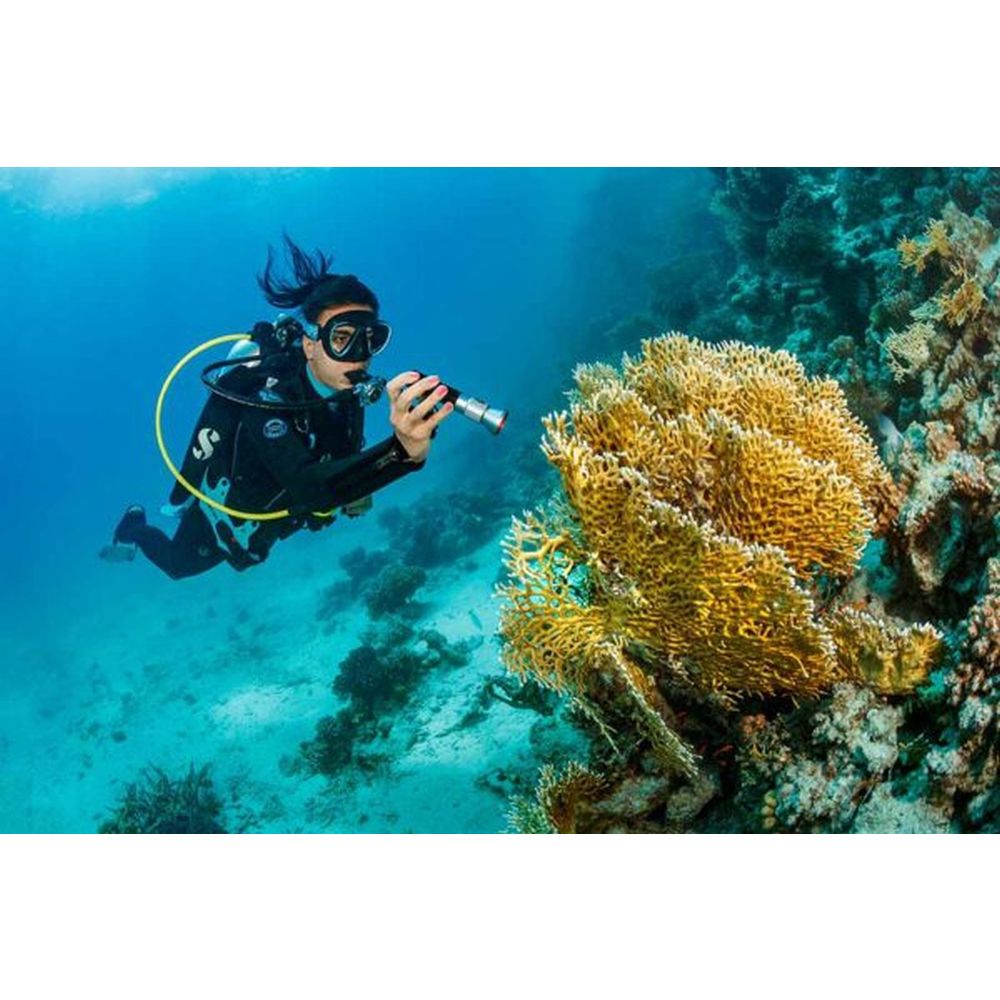 SeaLife Sea Dragon Mini 1600 (KIT13) Kit di alimentazione