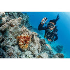 SeaLife Sea Dragon Mini 1600 (KIT13) Kit di alimentazione