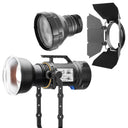 Maxima Maxima 6 MKII LED + Fresnel e Barndoor kit