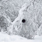 Buteo Photo Gear 3D Leafs Camouflage Net Snow 1.5x3 m