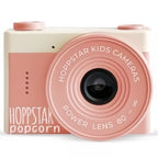 Hoppstar Popcorn Sorbet