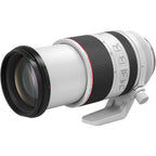 Canon EOS C80 + RF 70-200mm f/2.8L IS USM – Bianco