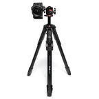 Manfrotto ONE Photo Alu con testa a sfera XPRO
