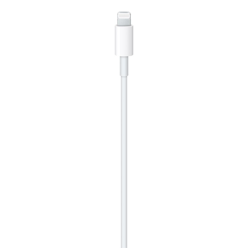 Cavo Apple da USB-C a Lightning 2 m