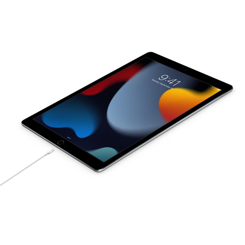 Cavo Apple da USB-C a Lightning 2 m