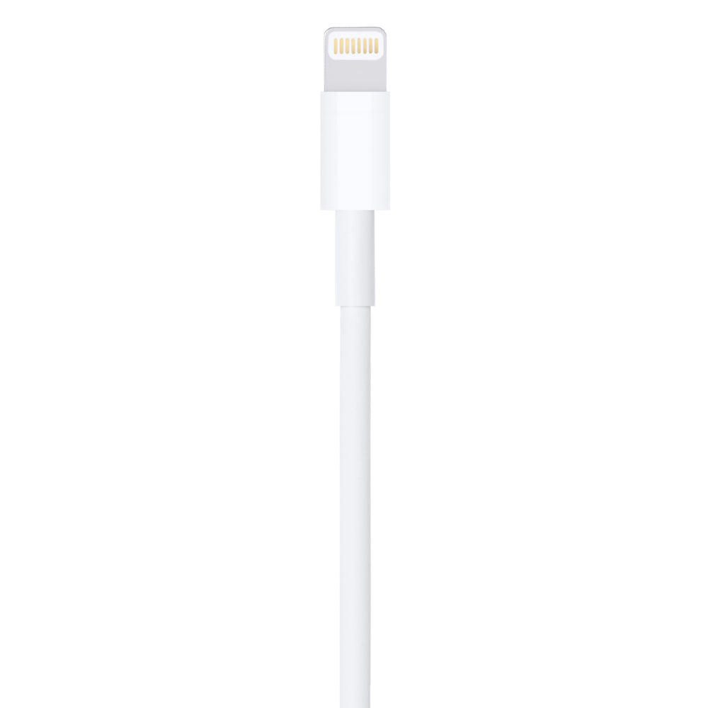 Apple Cavo da Lightning a USB 1 m