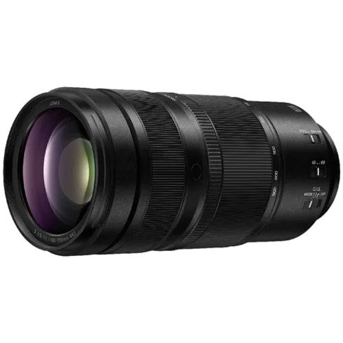 Panasonic Lumix DC-S1 Mark II E + Lumix S 100-500mm f/5-7.1