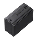 Sony NP-SA100 Batteria