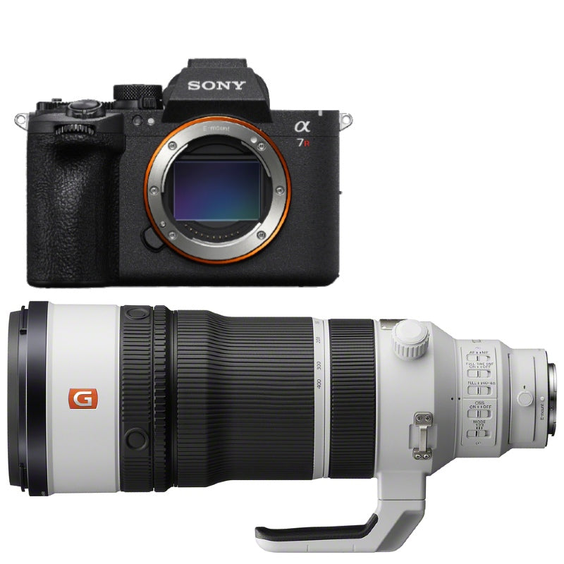 Sony A7R VI + FE 100-400mm f/4.5 GM OSS