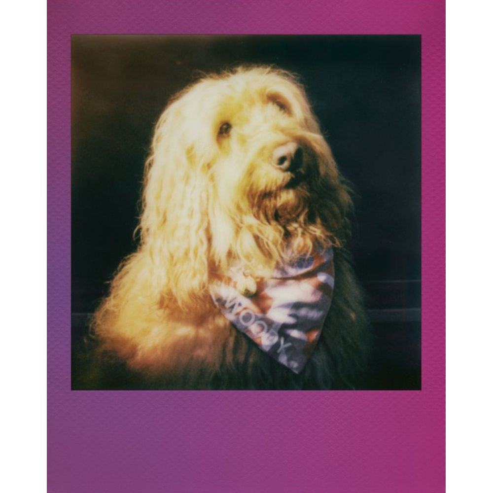 Polaroid GO 2x8 Film Pack Gradient Frame