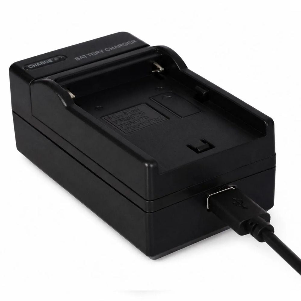 Falcon Eyes Caricabatterie SP-CHG II per NP-F Batterie