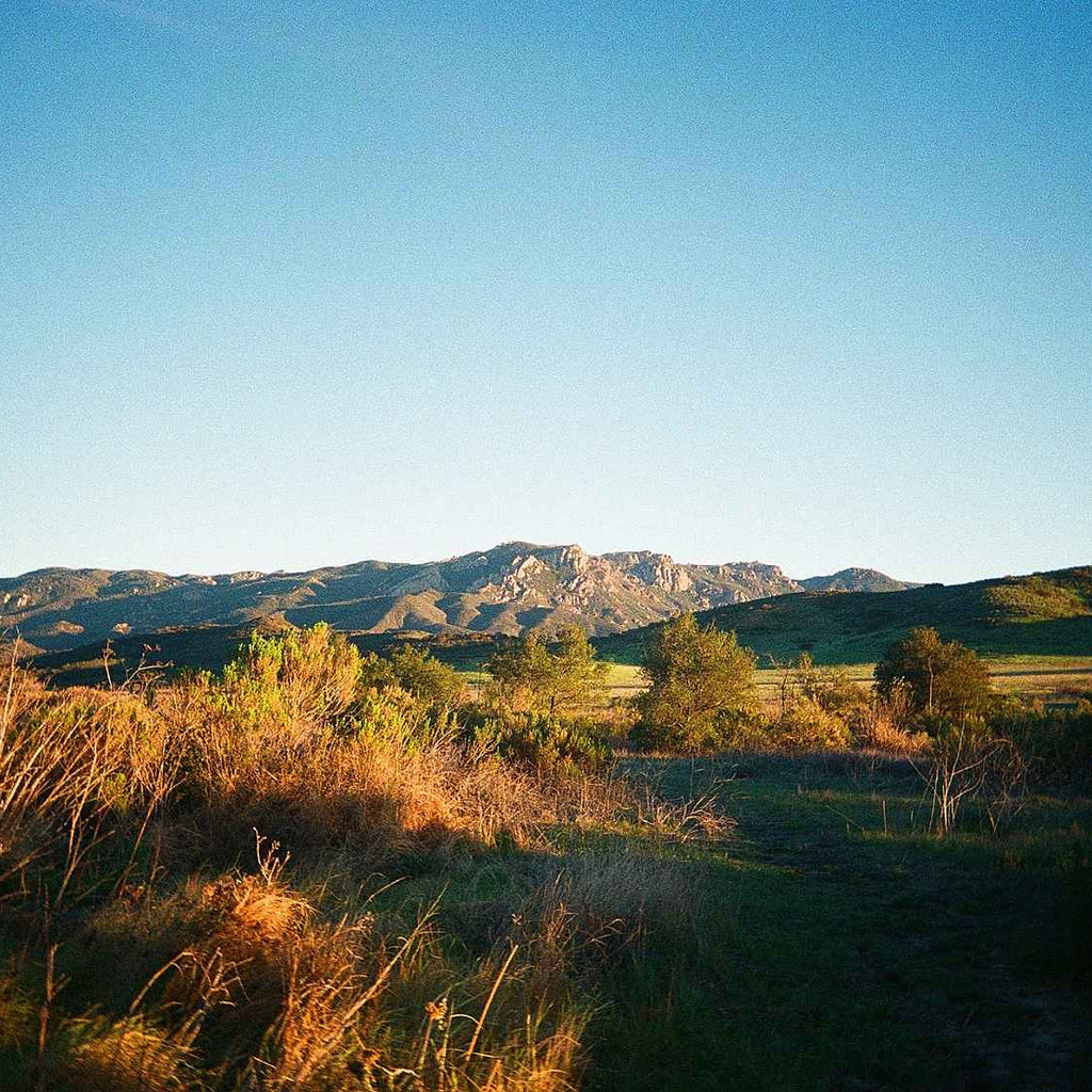 Kodak Ultra Max 400 - 135-24