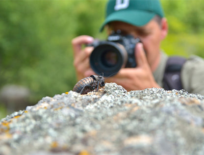 Obiettivi per la fotografia macro